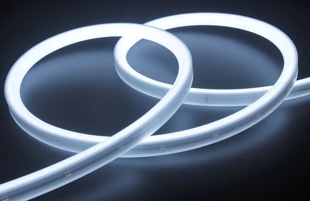 LED NEON