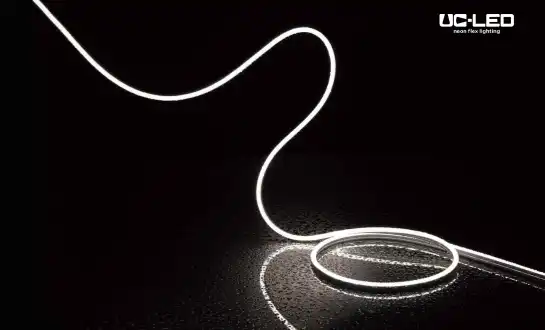 Quomodo Emptores Singapurenses Lampades Neon Flexibiles LED in Centris Industrialibus Shenzhenenses Quaerunt?