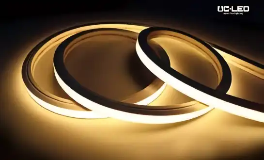 No ke aha e hilinaʻi ai nā Brands ʻEulopa iā Kina no ka hana ʻana o Top Bend Neon Flex