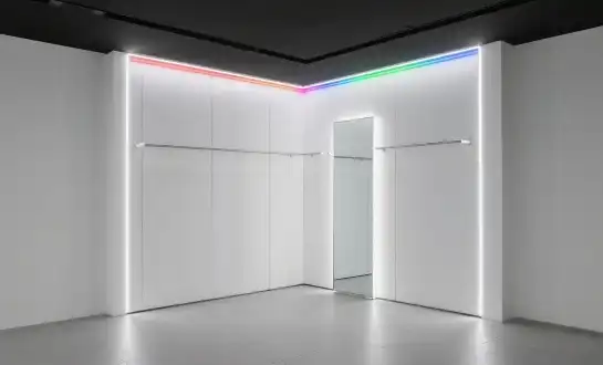 How to Choose Between RGB and Single-Color Neon Flex Strips?